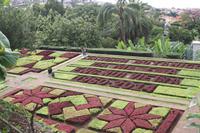Botanischer Garten_33 &ndash; &copy; Thomas Mühlbauer (Eberhardt TRAVEL)