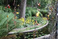 Botanischer Garten_41 &ndash; &copy; Thomas Mühlbauer (Eberhardt TRAVEL)
