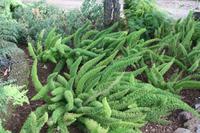 Botanischer Garten_43 &ndash; &copy; Thomas Mühlbauer (Eberhardt TRAVEL)