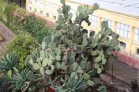 Botanischer Garten_47 &ndash; &copy; Thomas Mühlbauer (Eberhardt TRAVEL)