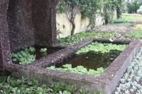 Botanischer Garten_49 &ndash; &copy; Thomas Mühlbauer (Eberhardt TRAVEL)