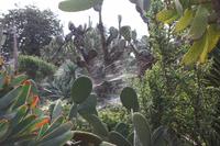 Botanischer Garten_53 &ndash; &copy; Thomas Mühlbauer (Eberhardt TRAVEL)