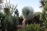 Botanischer Garten_56 &ndash; &copy; Thomas Mühlbauer (Eberhardt TRAVEL)