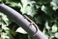 Botanischer Garten_58 &ndash; &copy; Thomas Mühlbauer (Eberhardt TRAVEL)