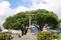 Funchal_10 &ndash; &copy; Thomas Mühlbauer (Eberhardt TRAVEL)