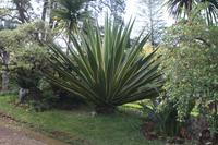 Garten der Familie Blandy_18 &ndash; &copy; Thomas Mühlbauer (Eberhardt TRAVEL)