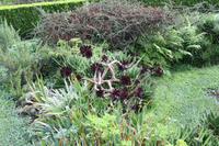 Garten der Familie Blandy_20 &ndash; &copy; Thomas Mühlbauer (Eberhardt TRAVEL)