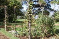Garten der Familie Blandy_26 &ndash; &copy; Thomas Mühlbauer (Eberhardt TRAVEL)