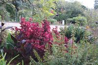 Garten der Familie Blandy_37 &ndash; &copy; Thomas Mühlbauer (Eberhardt TRAVEL)