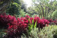 Garten der Familie Blandy_47 &ndash; &copy; Thomas Mühlbauer (Eberhardt TRAVEL)