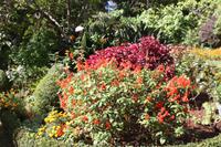 Garten der Familie Blandy_53 &ndash; &copy; Thomas Mühlbauer (Eberhardt TRAVEL)