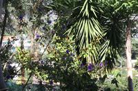 Kräutergarten_9 &ndash; &copy; Thomas Mühlbauer (Eberhardt TRAVEL)