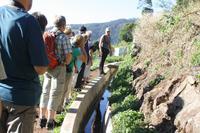 Levada von Marocos_4 &ndash; &copy; Thomas Mühlbauer (Eberhardt TRAVEL)