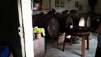 Weingut &ndash; &copy; Thomas Mühlbauer (Eberhardt TRAVEL)