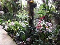 Im Orchideengarten &ndash; &copy; Annette Zocher (Eberhardt TRAVEL)
