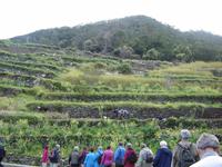 Terrassenfelder &ndash; &copy; Ngoc Anh Nguyen (Eberhardt TRAVEL)