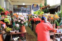 Markthalle Funchal &ndash; &copy; Aline K. (Eberhardt TRAVEL)