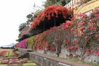 Botanischer Garten in Funchal