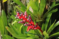 Orchideengarten &ndash; &copy; Aline K. (Eberhardt TRAVEL)