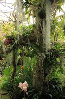 Orchideengarten &ndash; &copy; Aline K. (Eberhardt TRAVEL)