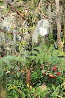 Orchideengarten &ndash; &copy; Aline K. (Eberhardt TRAVEL)