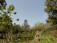 Blandy´s Garten &ndash; &copy; Dorothea Thiedt (Eberhardt TRAVEL)