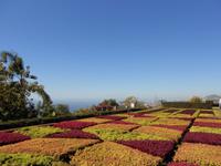 Blumenmosaik