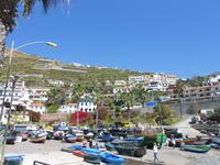 Camara do Lobos_Boote &ndash; &copy; Dorothea Thiedt (Eberhardt TRAVEL)