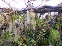 Orchideengarten (2) &ndash; &copy; Dorothea Thiedt (Eberhardt TRAVEL)