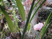 ...viele Tilandsien &ndash; &copy; Detlef May (Eberhardt TRAVEL)