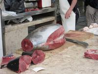 Thunfisch  &ndash; &copy; Detlef May (Eberhardt TRAVEL)