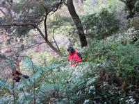 wie im Urwald &ndash; &copy; Detlef May (Eberhardt TRAVEL)