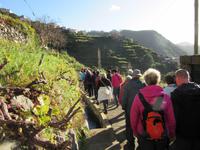 Levada-Wanderung &ndash; &copy; Detlef May (Eberhardt TRAVEL)
