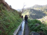 Levada &ndash; &copy; Detlef May (Eberhardt TRAVEL)