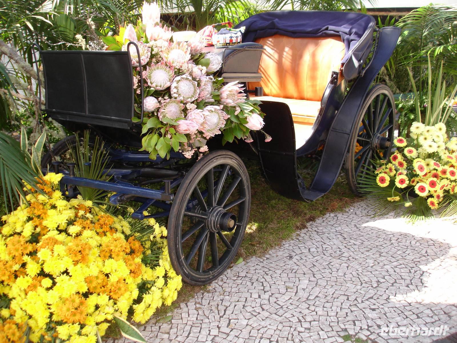 Funchal , 