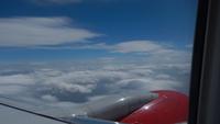 Flug