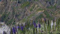 Blick vom Pico do Ruivo &ndash; &copy; Heike Meinhold (Eberhardt TRAVEL)