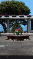 Santana &ndash; &copy; Heike Meinhold (Eberhardt TRAVEL)