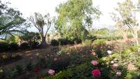 Botanischer  Garten &ndash; &copy; Heike Meinhold (Eberhardt TRAVEL)