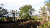 Botanischer  Garten &ndash; &copy; Heike Meinhold (Eberhardt TRAVEL)