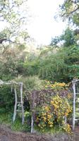 Botanischer  Garten &ndash; &copy; Heike Meinhold (Eberhardt TRAVEL)