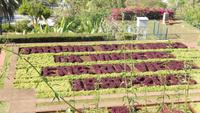 Botanischer  Garten &ndash; &copy; Heike Meinhold (Eberhardt TRAVEL)