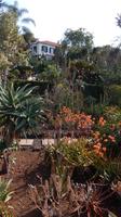 Botanischer  Garten &ndash; &copy; Heike Meinhold (Eberhardt TRAVEL)
