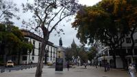 in Funchal &ndash; &copy; Heike Meinhold (Eberhardt TRAVEL)
