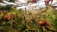 Jardim Orchidea &ndash; &copy; Heike Meinhold (Eberhardt TRAVEL)