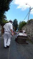 Schlittenfahrt &ndash; &copy; Heike Meinhold (Eberhardt TRAVEL)