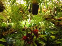 Orchideengarten &ndash; &copy; Christina Schwarz (Eberhardt TRAVEL)