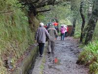 Mini - Levada-Wanderung im Regen &ndash; &copy; Hans-Joachim Trutz (Eberhardt TRAVEL)