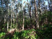 Wanderung auf der 