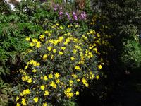 Wanderung auf der 